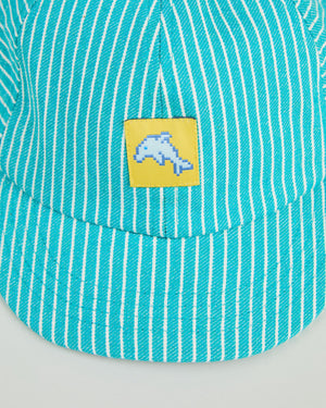 Denim Stripes Pixel Dolphin cap