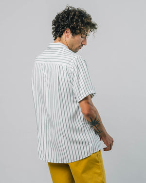 Kale Stripe Shirt