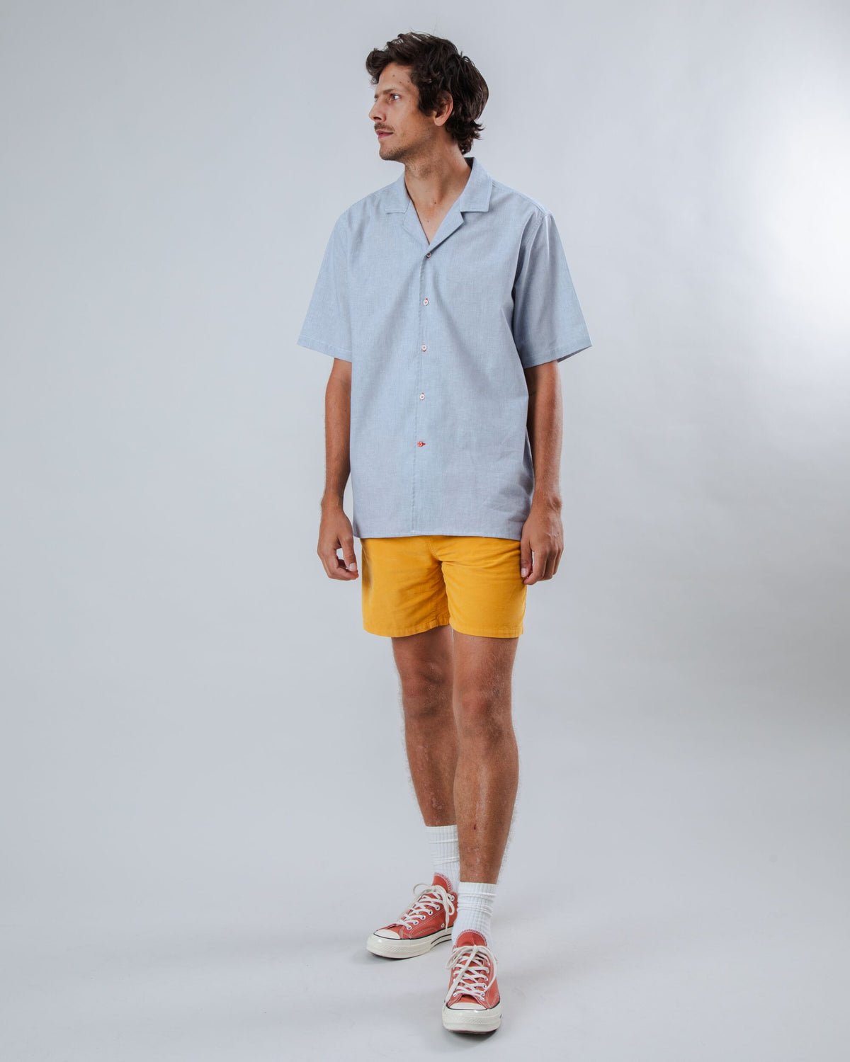 Pinstripes Aloha Shirt Blue