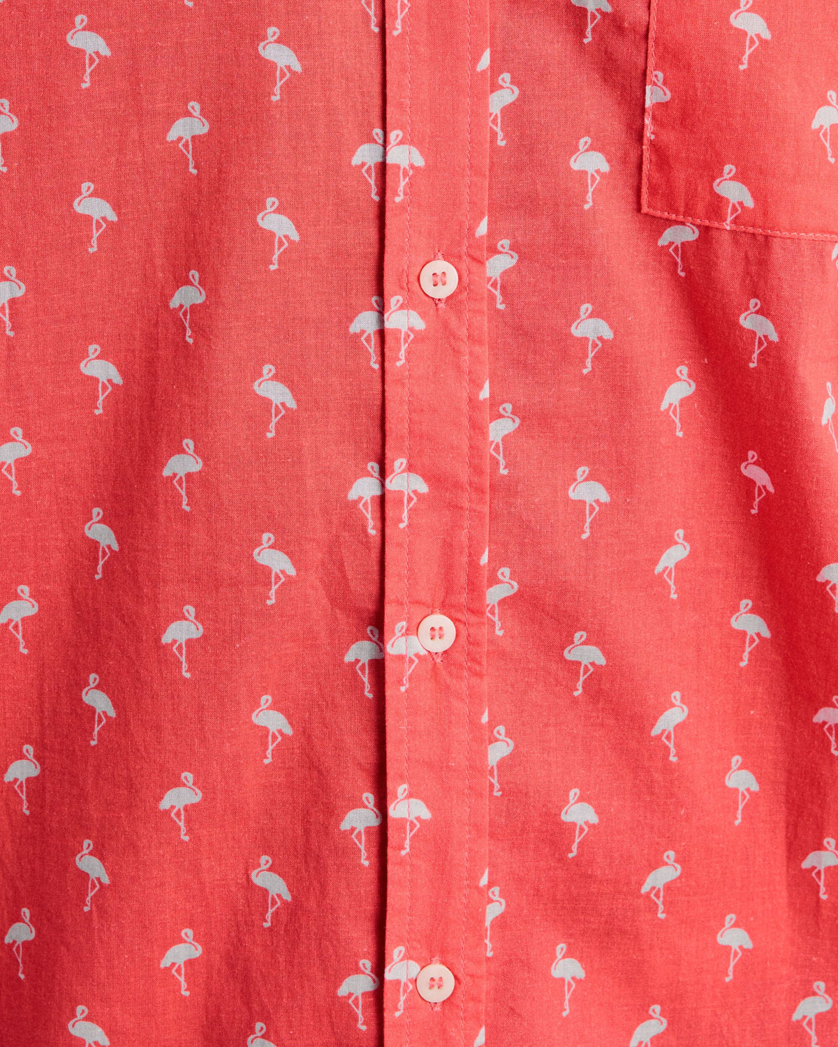 Magnum Flamingo Printed Shirt