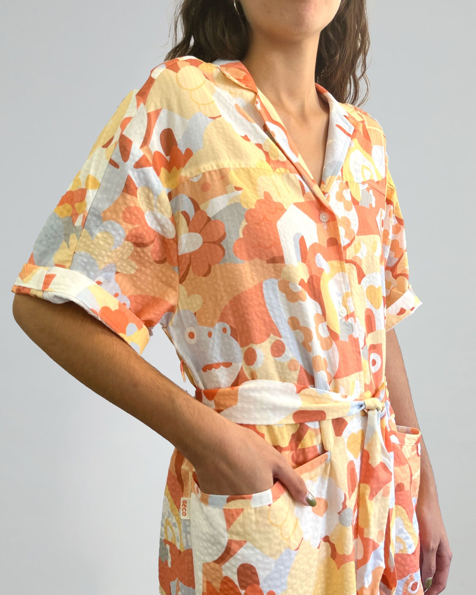 Geco's Friends Shirt Dress