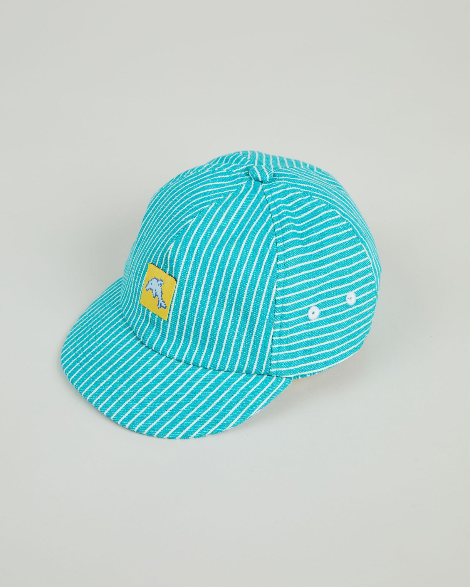 Denim Stripes Pixel Dolphin cap
