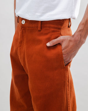 Carpenter Cotton Twill Pants Brown